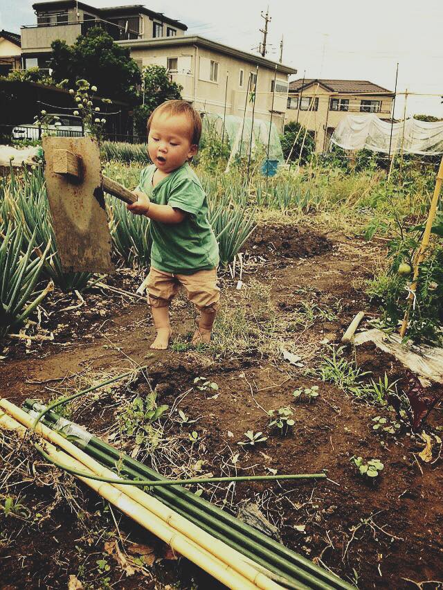 畑を耕している子供の画像